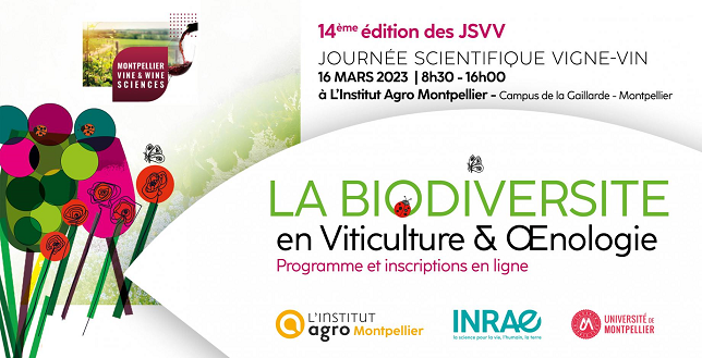 JSVV 2023 - Inscription web_700px